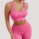 Conjunto esportivo sem costura feminino roupa de fitness costela yoga terno correndo sutiã sem almofada com treino leggings ginásio roupas esportivas