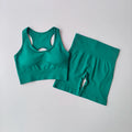 Seamless Yoga Set para Mulheres, Sexy Sutiã Esportivo, Shorts de Cintura Alta, Roupa de Ginásio, Terno sem mangas Fitness, 2 pcs