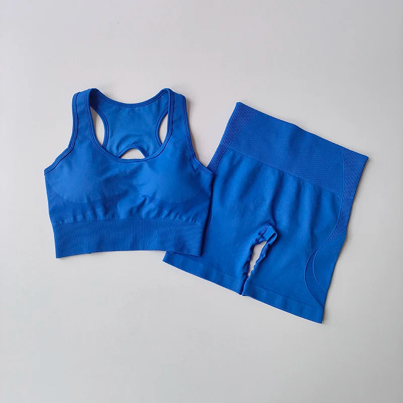 Seamless Yoga Set para Mulheres, Sexy Sutiã Esportivo, Shorts de Cintura Alta, Roupa de Ginásio, Terno sem mangas Fitness, 2 pcs