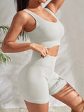 Conjunto esportivo sem costura feminino roupa de fitness costela yoga terno correndo sutiã sem almofada com treino leggings ginásio roupas esportivas