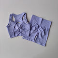 Seamless Yoga Set para Mulheres, Sexy Sutiã Esportivo, Shorts de Cintura Alta, Roupa de Ginásio, Terno sem mangas Fitness, 2 pcs