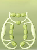 12 rodadas de equipamento de massagem de relaxamento e alongamento muscular de emagrecimento de perna circular, artefato de emagrecimento de perna, braçadeira circular de perna