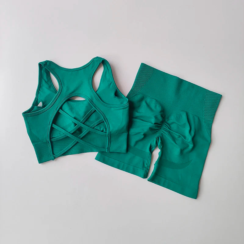 Seamless Yoga Set para Mulheres, Sexy Sutiã Esportivo, Shorts de Cintura Alta, Roupa de Ginásio, Terno sem mangas Fitness, 2 pcs